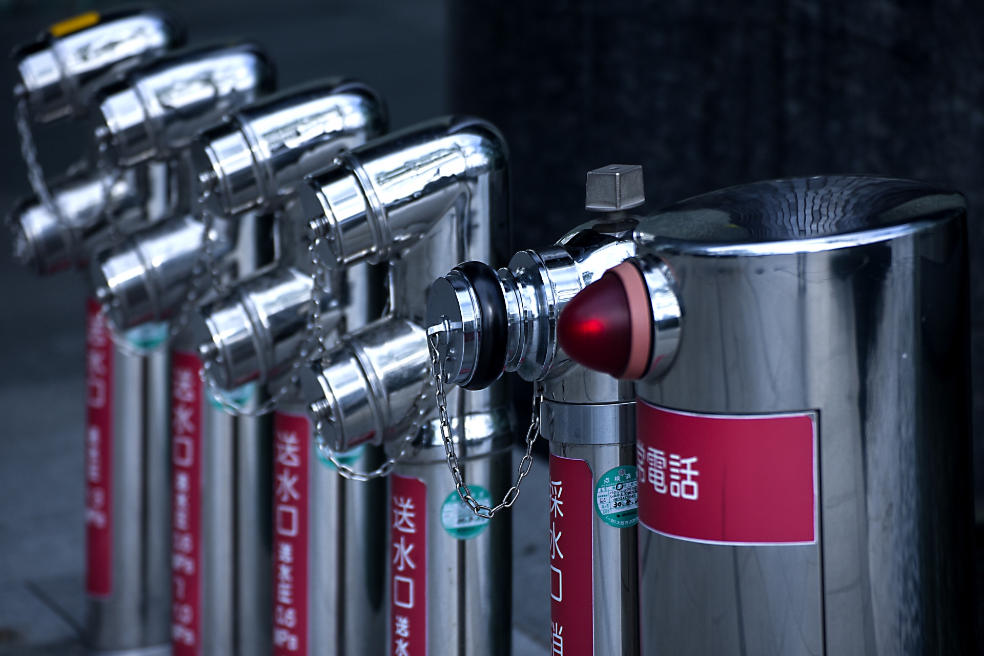 ギャラリー画像